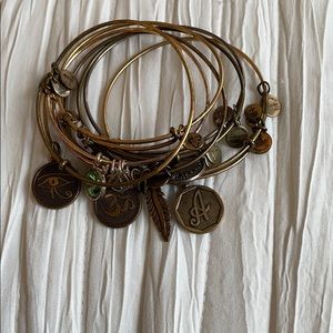 Alex and Ani Charm Bangle Bracelet Collection